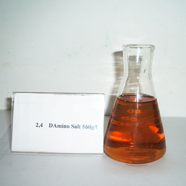2،4-D ثنائي ميثيل الأمونيوم